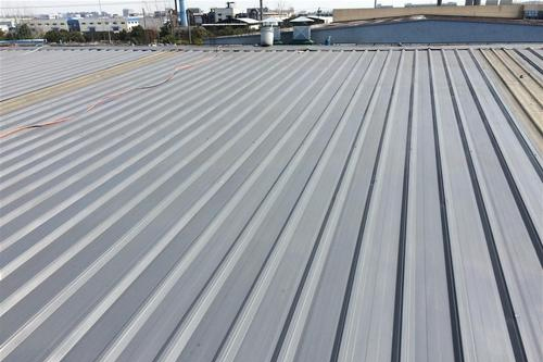 ����ֲʸ���